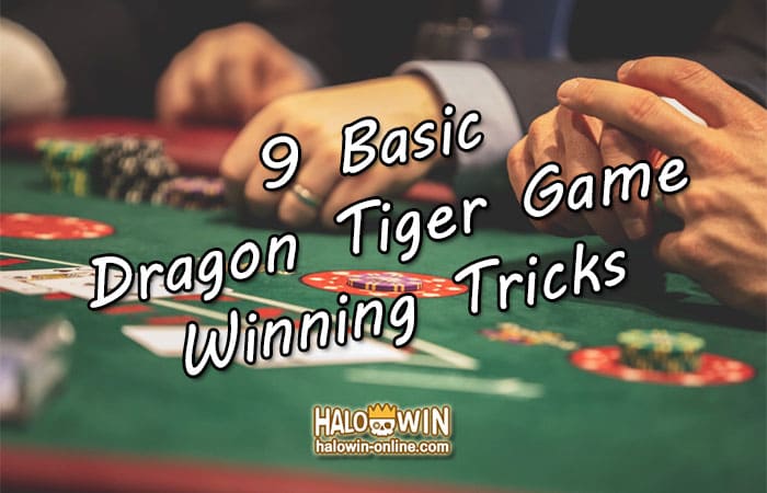 9 Basic Dragon Tiger Game Winning Tricks, Earn ₱3k+ Easily