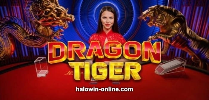 Beginners Live Dragon Tiger Game Winning Tricks