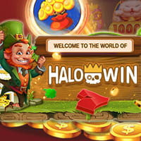 Online Casino Review by Halowin