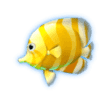Ace Win Grand Blue Slot Paytable: tropical fish
