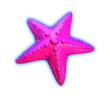 Ace Win Grand Blue Slot Paytable: starfish