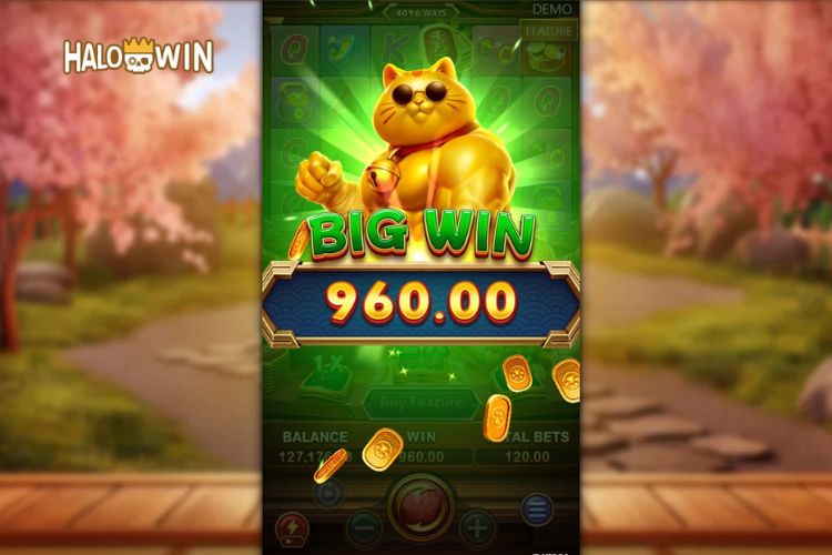 BIG WIN ₱960 at FaChai Muscle Fortune Cat Slot! BIG WIN ₱960 at FaChai Muscle Fortune Cat Slot!