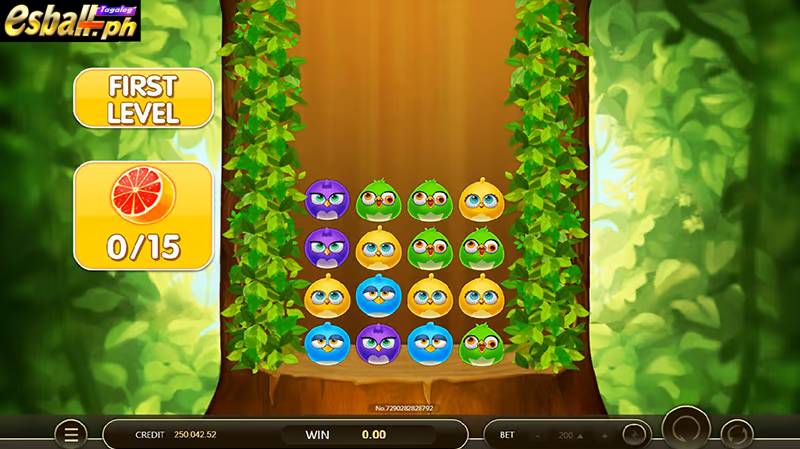 How to Play JDB Birds Party Slot Game