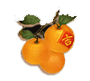 JDB New Year Slot Demo Online Game Paytable 5
