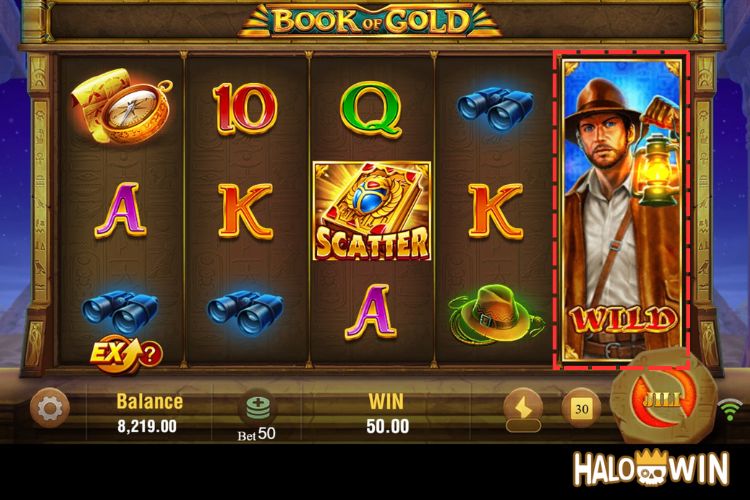 Book Of Gold: Expanding Reels