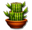 Jili Fortune Tree Slot Paytable: Bamboo