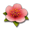 Jili Fortune Tree Slot Paytable: Plum Blossom