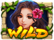 Jili Hawaii Beauty Slot Payouts: Wild symbol