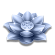 JILI Lucky Coming Slot Game Paytable - Silver Lotus