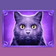 Witches Night Slot - Black Cat Symbols