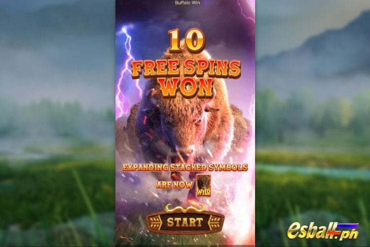 Buffalo Win PG Slot Free Spins Feature