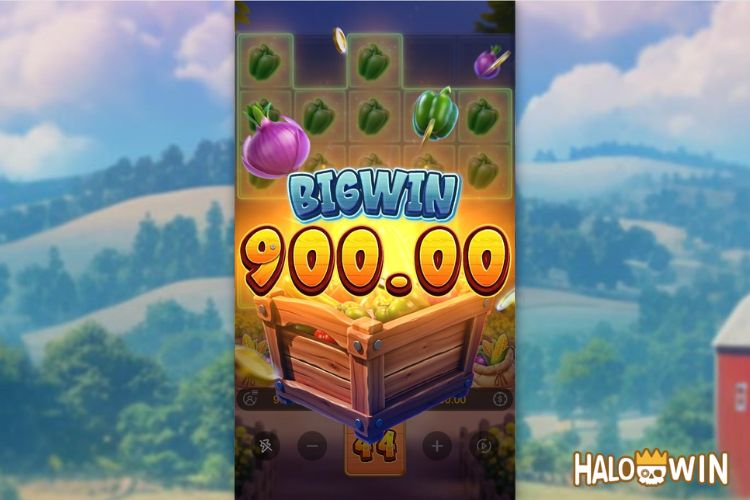Bet 90 pesos and win 900 pesos on Farmstead Fortune Big Win.