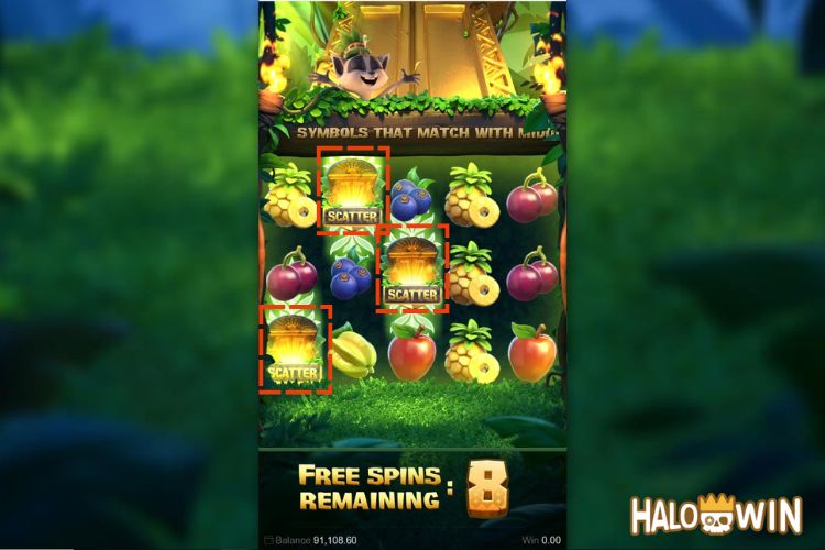 Jungle Delight Free Spins