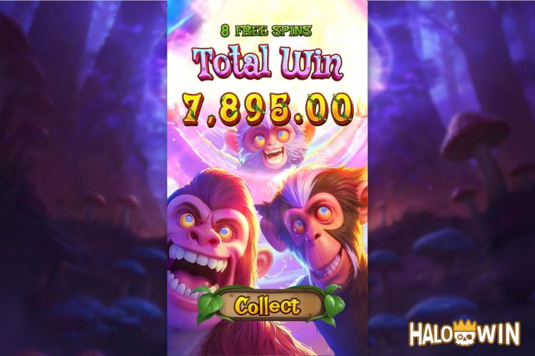 Get 7,895 Pesos in PG Monkeys Wild Party Free Spins.