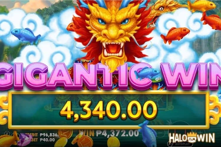 Bet 40 pesos and win 4,340 pesos on Dragon's Gate Bonus Choice Big Win.