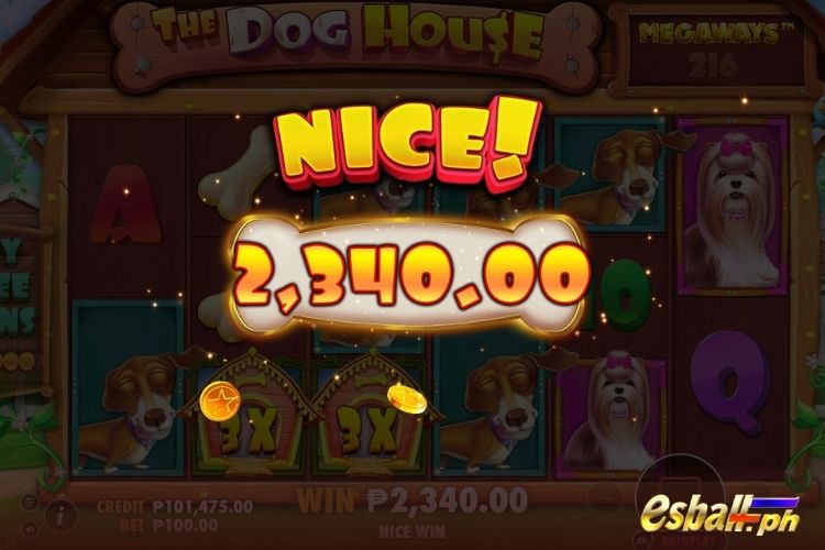 Bet 100 pesos and win 2,340 pesos on The Dog House Megaways Big Win.