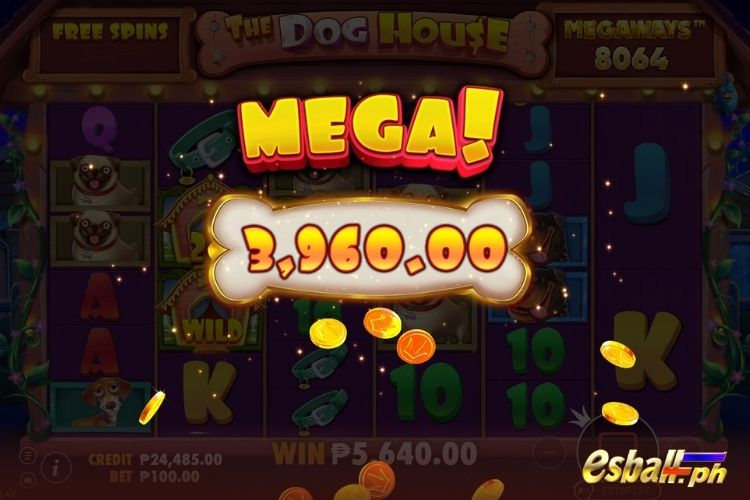 Bet 100 pesos and win 3,960 pesos on The Dog House Megaways Big Win.