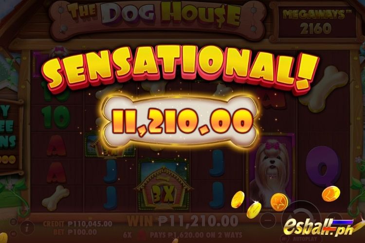 Bet 100 pesos and win 11,210 pesos on The Dog House Megaways Big Win.
