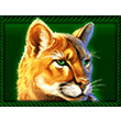 Buffalo King MEGAWAYS Slot R88 Game Paytable: Bobcat