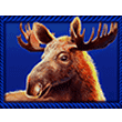 Buffalo King MEGAWAYS Slot R88 Game Paytable: Reindeer