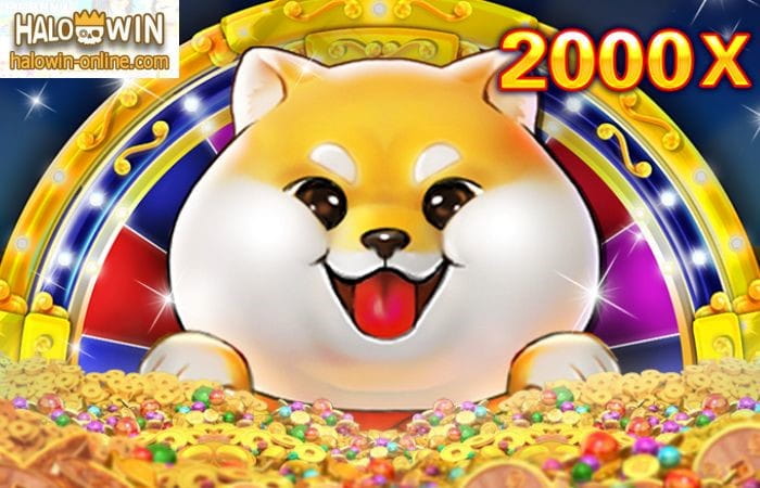 5 Highest Winning Probability JDB Slot Games and 4 Key Tips