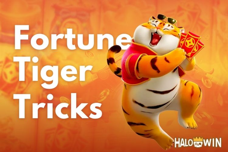 Fortune Tiger Tricks and Tips: Play Like A Pro