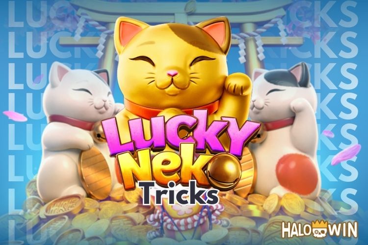 PG Lucky Neko Trick Guide | Tips & Bankroll Management