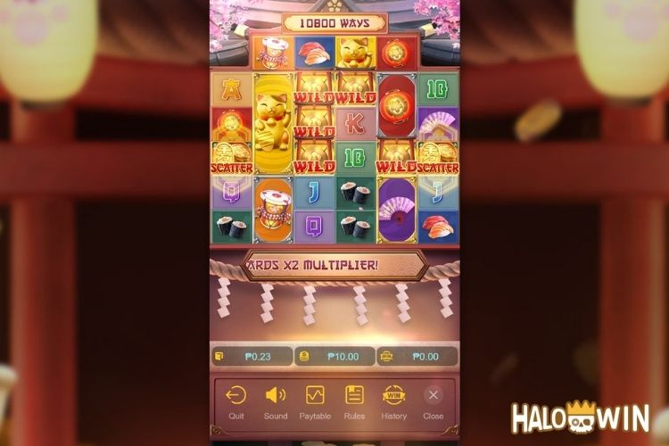 Lucky Neko Bankroll Management