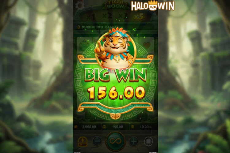 Won 156 Pesos Big Win on YB Tiger Boom