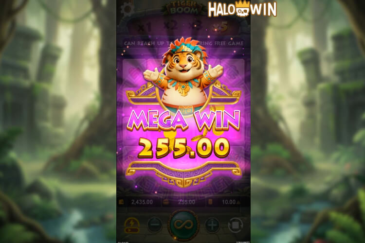 Won 255 Pesos Mega Win on YB Tiger Boom