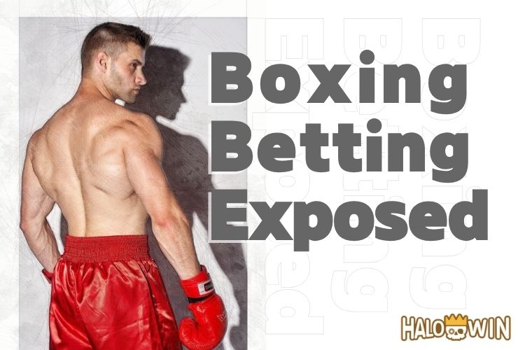 Boxing Betting Exposed: Key Trends, Risks, and Insights