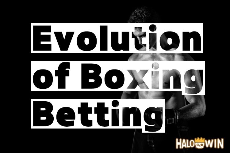 Boxing Betting Exposed: Key Trends, Risks, and Insights