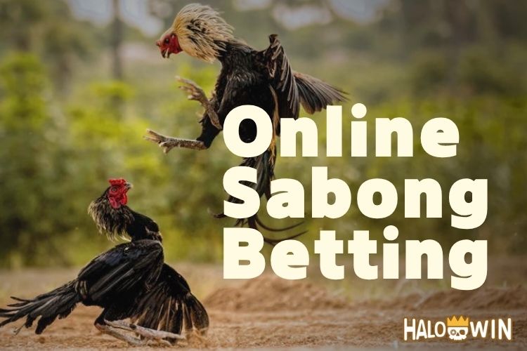 Online Sabong Betting Game: How to Bet & Know the Rules